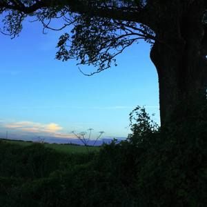 Meet your Posher, Miranda